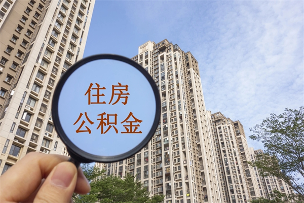 石狮上海封存公积金提取代办（石狮上海封存公积金提取条件）